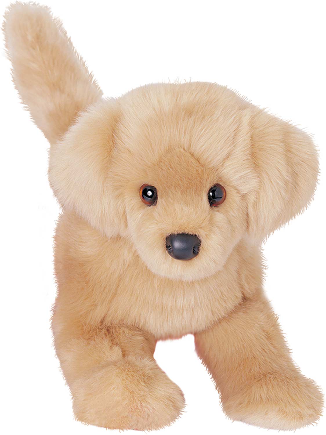 Bella Gld Retriever