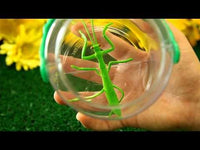 Best Ever Bug Jar