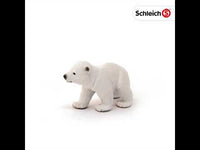 Polar Bear Cub, Walking