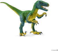 Velociraptor