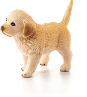 Golden Retriever Puppy